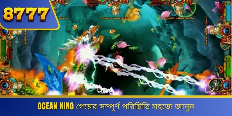 Ocean King গেমের সম্পূর্ণ পরিচিতি সহজে জানুন 